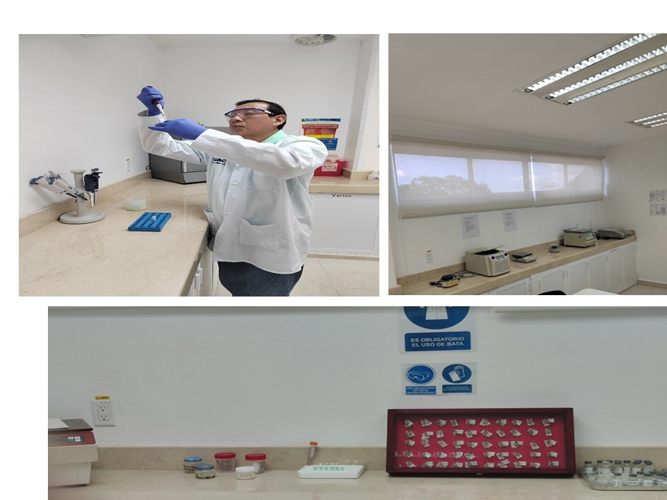 laboratorio pau micrositio